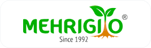 Mehrigiyo